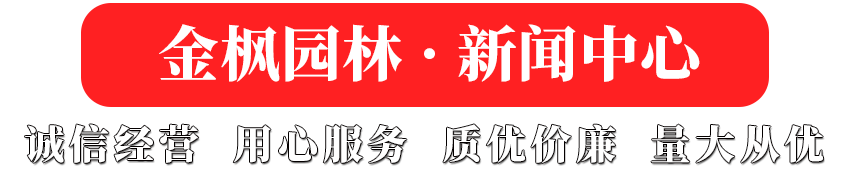 新聞中心